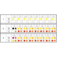 Erba СТРЕПТОтест 24