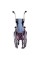 Колесное кресло для детей легкая ADJ KIDS OSD-ADJK-R
