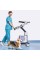 Vetus 50 УЗД апарат для тварин Mindray Animal