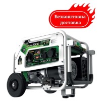 Генератор газобензиновий 7/6 кВт Genergy Natura 7000 електрозапуск