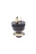 Бензиновый генератор 3 квт EF Power RD3600