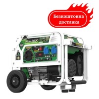 Генератор газобензиновий 3/2,6 кВт Genergy Natura 3000 електрозапуск
