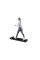 Дорожка беговая электрическая kingsmith C2 Walkingpad (WPS1F)