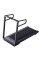 Бежевая дорожка электрическая kingsmith Walkingpad TR50 (TRM1FUD)